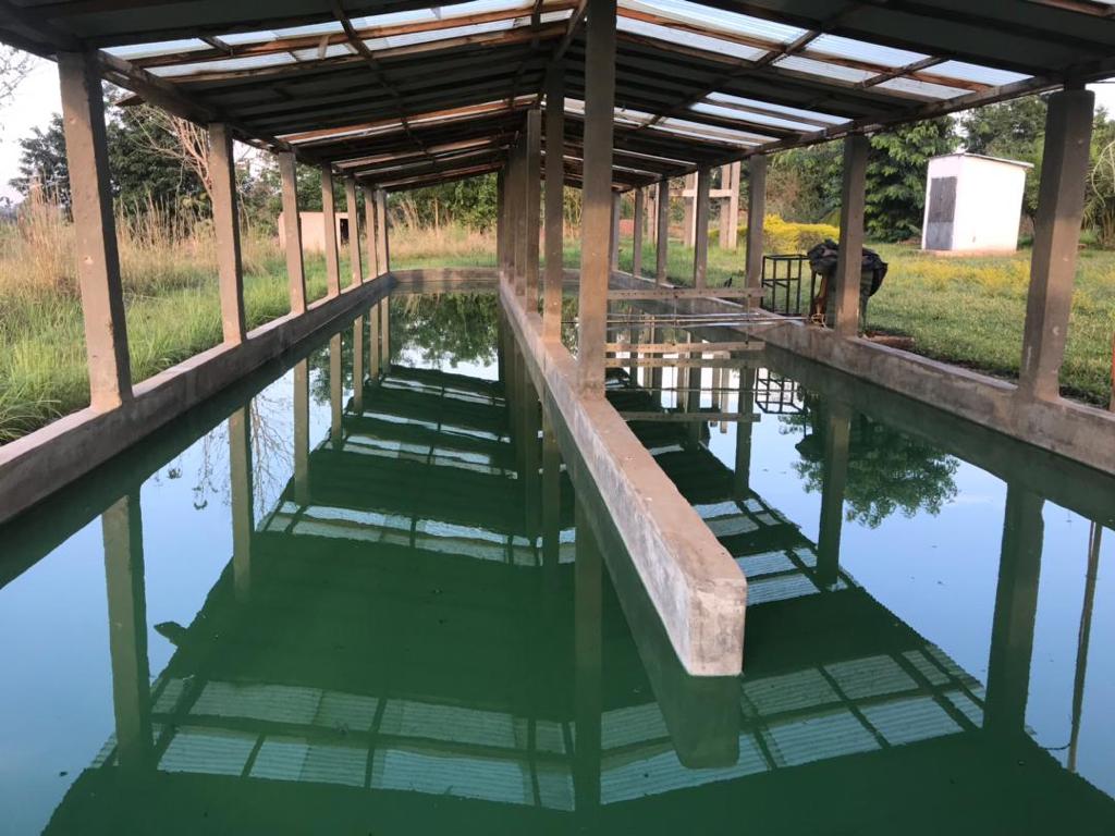 WhatsApp Image 2023 03 21 at 145458